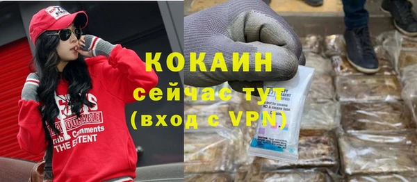 ПСИЛОЦИБИНОВЫЕ ГРИБЫ Осинники