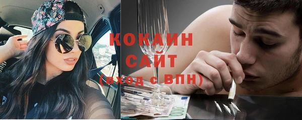 ПСИЛОЦИБИНОВЫЕ ГРИБЫ Осинники