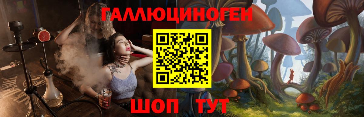 Галлюциногенные грибы GOLDEN TEACHER Нижнеудинск